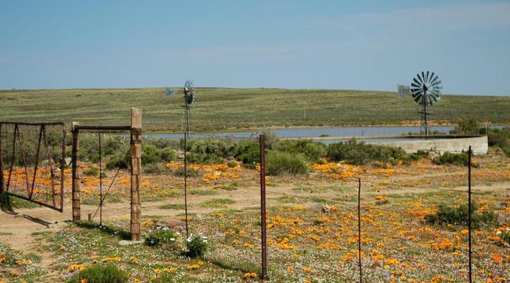Blesfontein Guest Farm