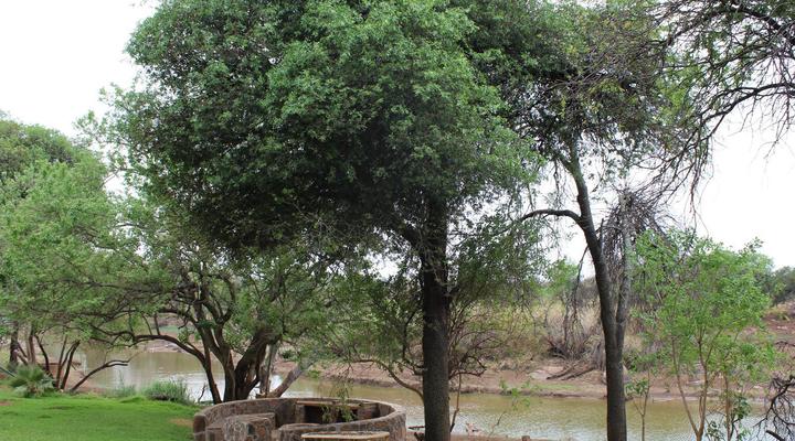 Makoppas Nest River Lodge