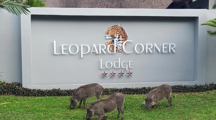 Leopard Corner Lodge