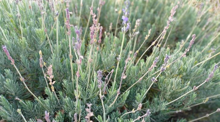 21 on Coetzee Guest House