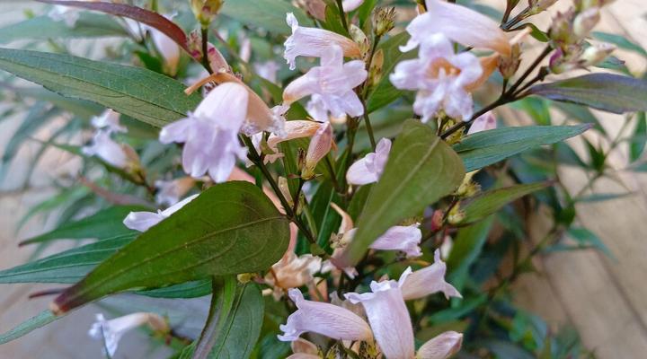 21 on Coetzee Guest House