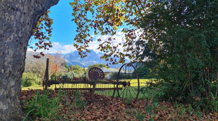 Swallowfield Rondavels