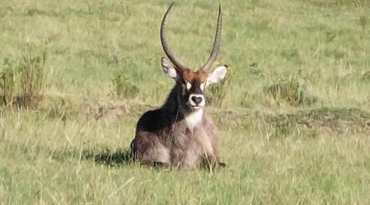 Keurbooms River Game Trails