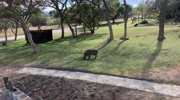 Khululeka Safaris Lodge