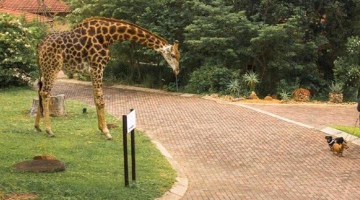 Khululeka Safaris Lodge