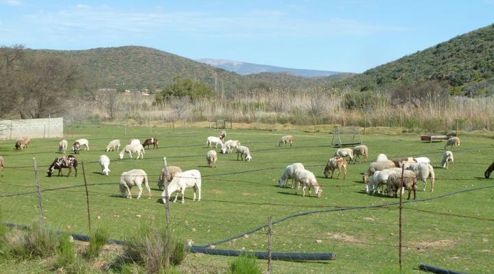 Ladismith Country House: Spiritual Retreat & Guesthouse