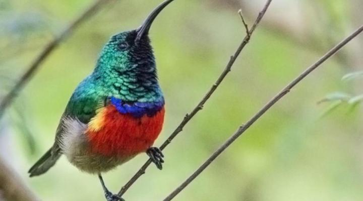 Kalanderkloof Cottage