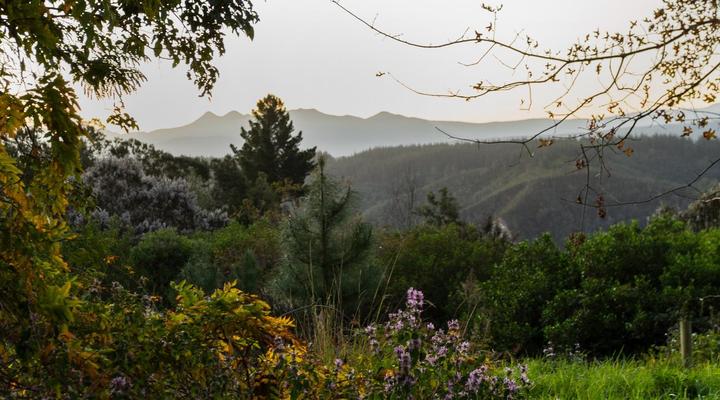Forest Valley Cottages