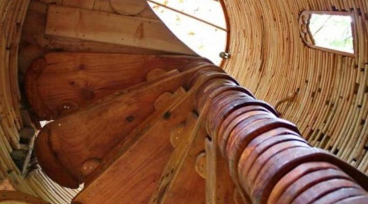 Sycamore Avenue Treehouses