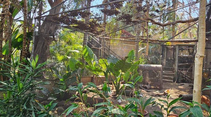 Old Vic Traveller's Inn