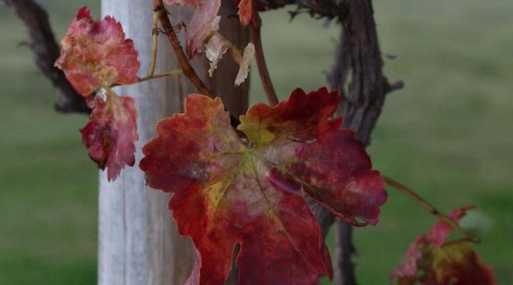 Letskraal Farm Accommodation