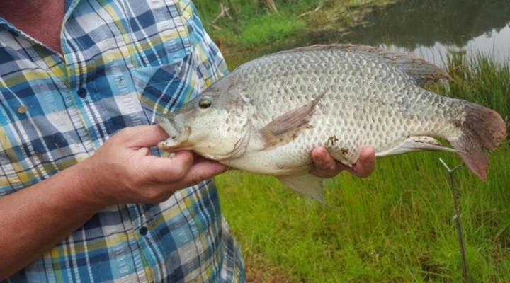 Magoebaskloof Getaway