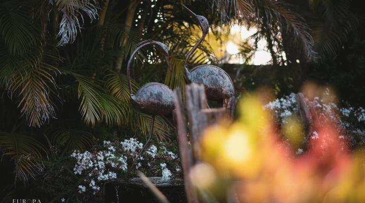 Europa Bed and Breakfast