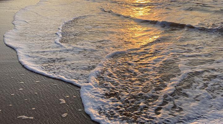 Fiddlewood Beach House