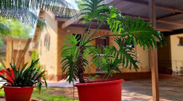 La Lucia Guest House