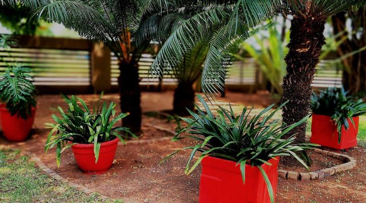 La Lucia Guest House