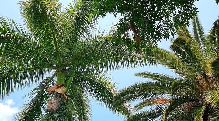 La Lucia Guest House