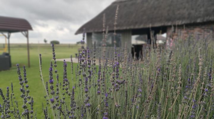 Uurpan Safari Lodge - Schweizer