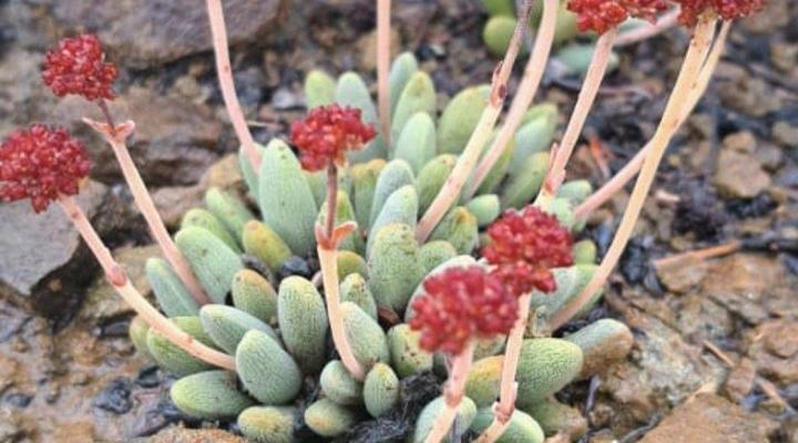 Welverdiend Private Game Reserve