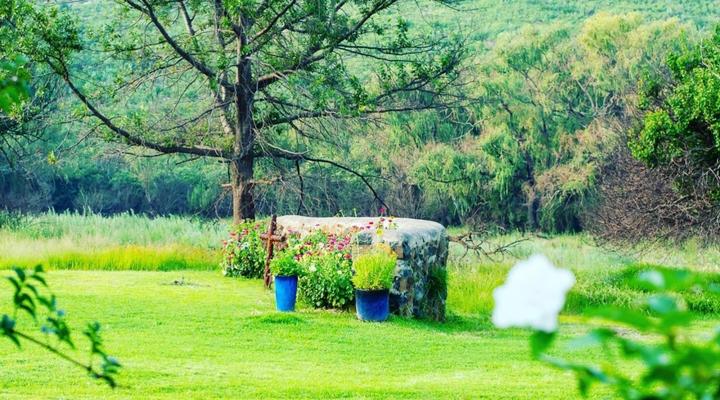 Wetlands Country House & Sheds