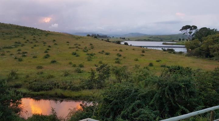 Wetlands Country House & Sheds