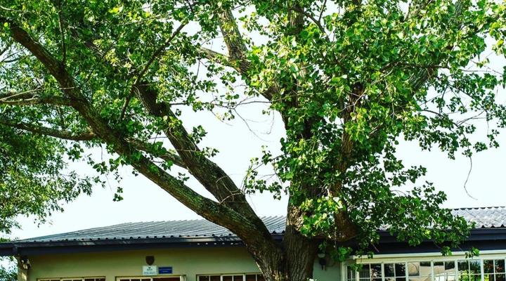 Wetlands Country House & Sheds
