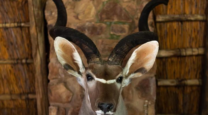 Klipdrift Sands Bush Camp
