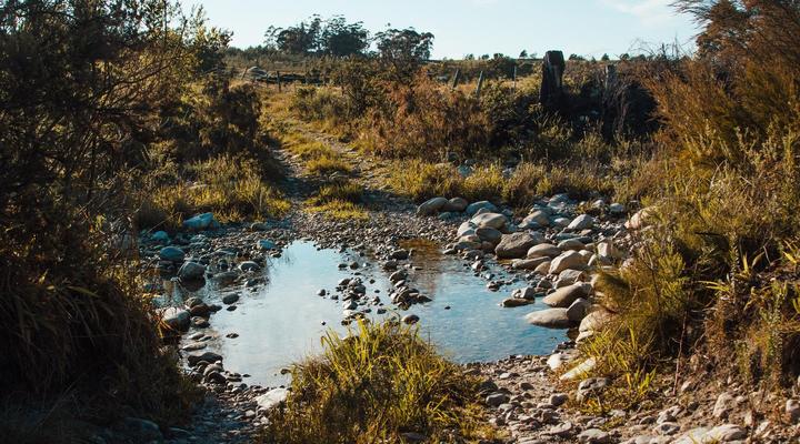 Wildebraam Berry Estate