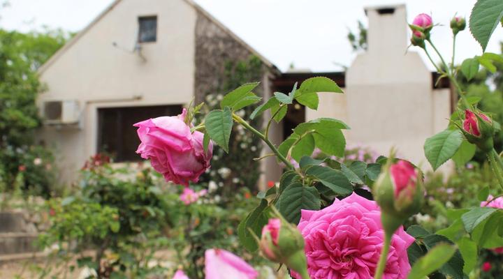 Wildebraam Berry Estate