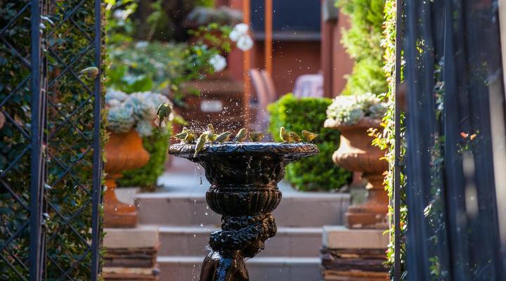 Ivory Manor Boutique Hotel