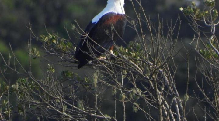 14 Manzini Chalets - Flamingo Cove