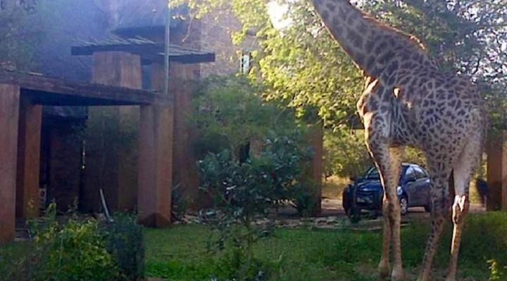 Kierieklapper River House