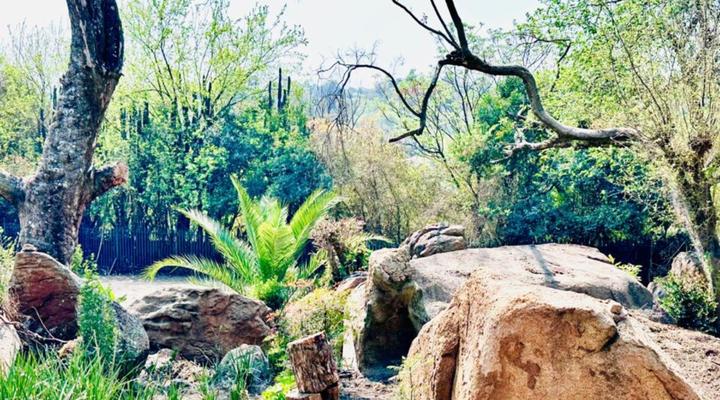 C and C Hotel Vibes JHB Ferndale