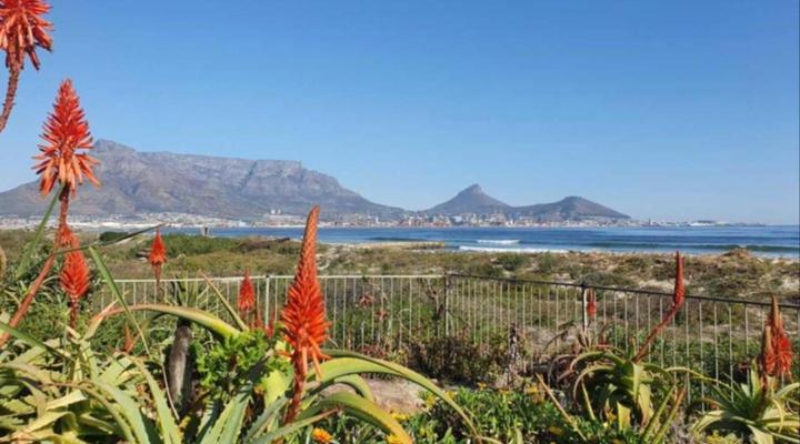 At My Beachfront Flat 1 and 2