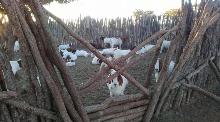 Omapaha Etosha Restcamp