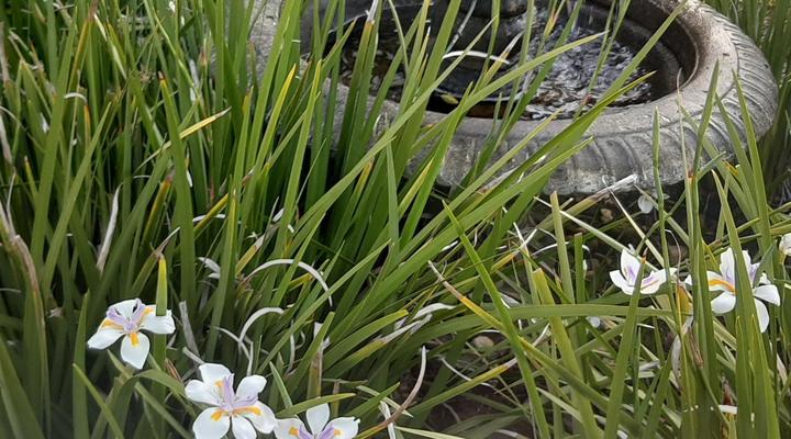 Eversview Guesthouse