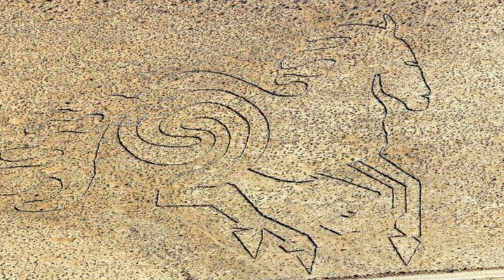 Klein-Aus Vista: Desert Horse Inn