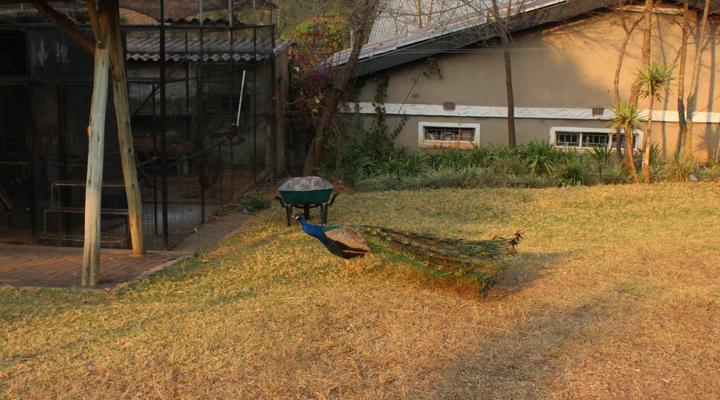 Emahlathini Farm Lodge