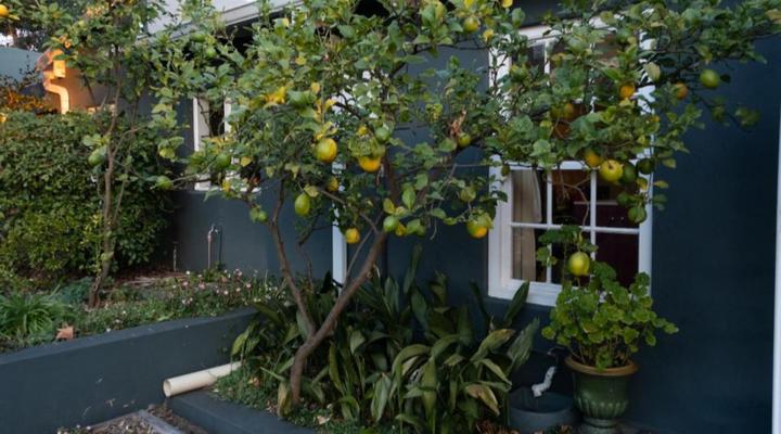 Tanya's on 2nd Avenue