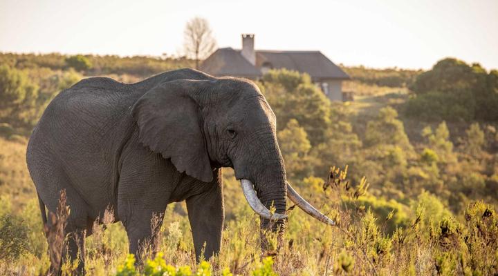 Gondwana Game Reserve