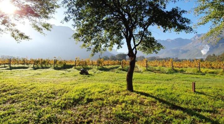 Little Acre Luxury Pods