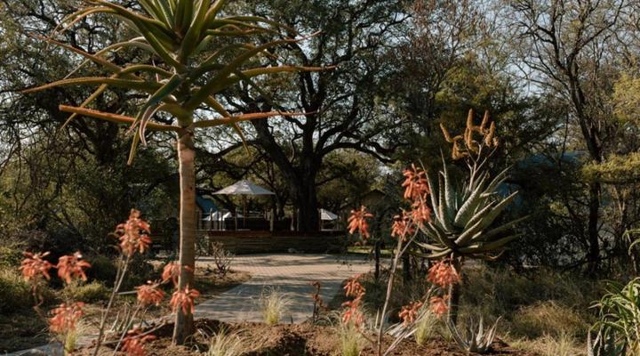 Leopard’s Bend Bush Lodge