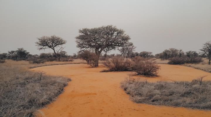 Uakii Wilderness Bushcamp