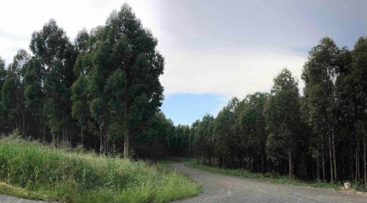 Hilton Accommodation