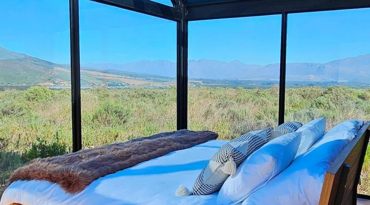 The Bento Boxes-Nightsbridge