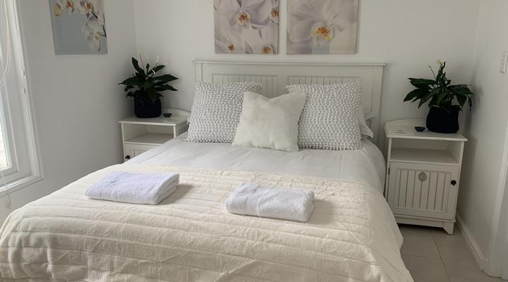 Sanderling Beach house