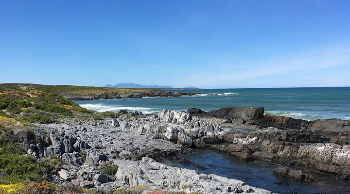 Sanderling Beach house