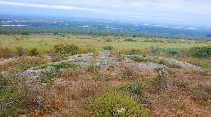 Peace Haven at Windfarm Accommodation