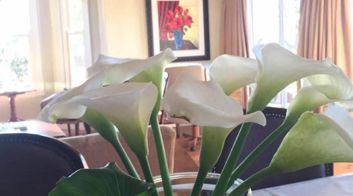 Tom's Place Guesthouse