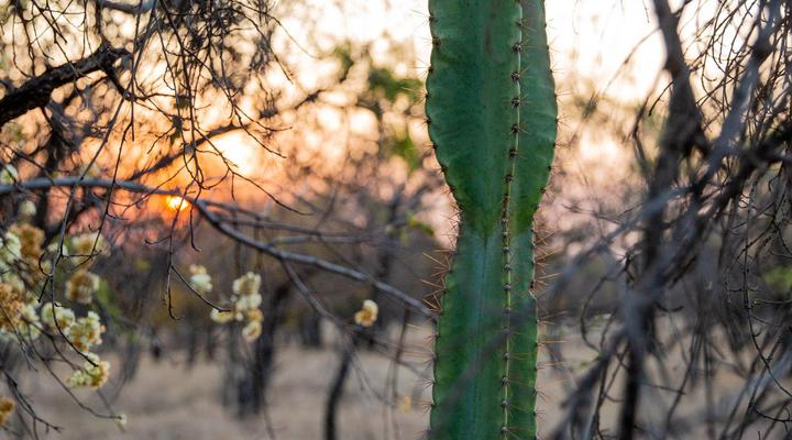 Minara Private Boutique Game Lodge